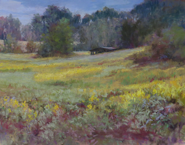 Yellow Fields by Marsha Hamby Savage