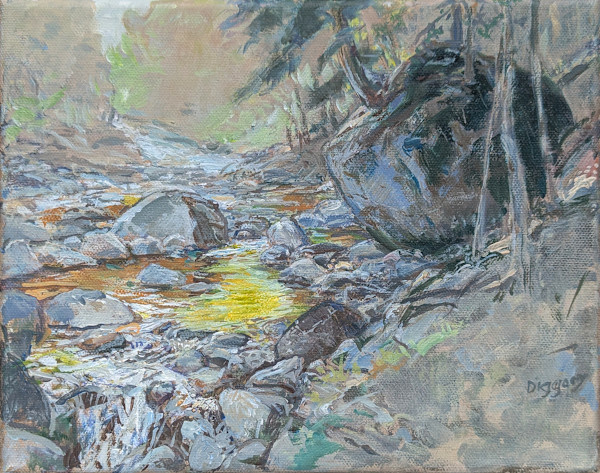 Resting Place, Johns Brook by Anne Diggory