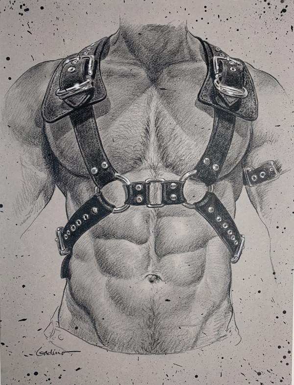 VG 29 Harness by Victor J Gadino