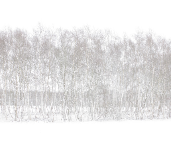 Dezember by Marcel Kruse