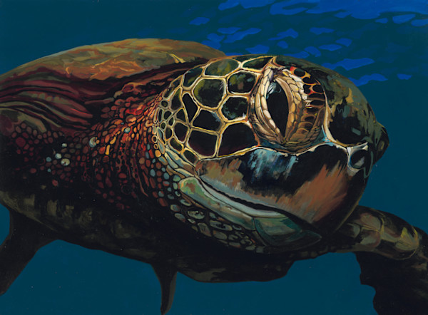Approaching Turtle by Kai Kaulukukui