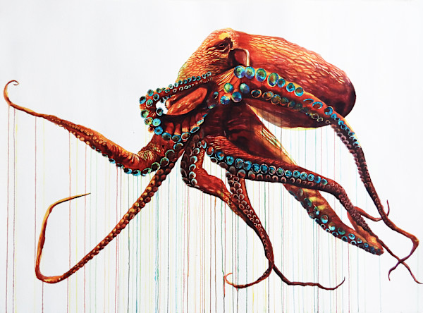 Great Octopus by Kai Kaulukukui