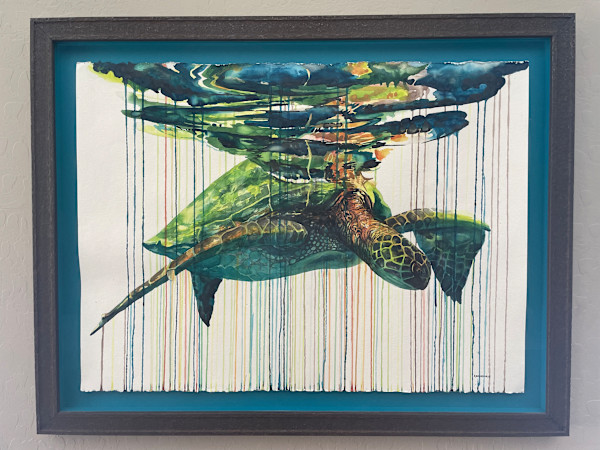 Honu Gliding by Kai Kaulukukui