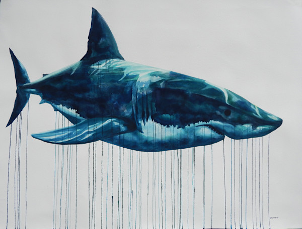Megalodon by Kai Kaulukukui