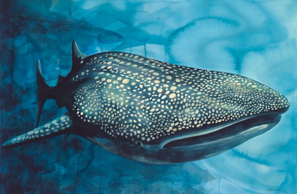 Isla Mujeres Whale Shark by Angela Arvai