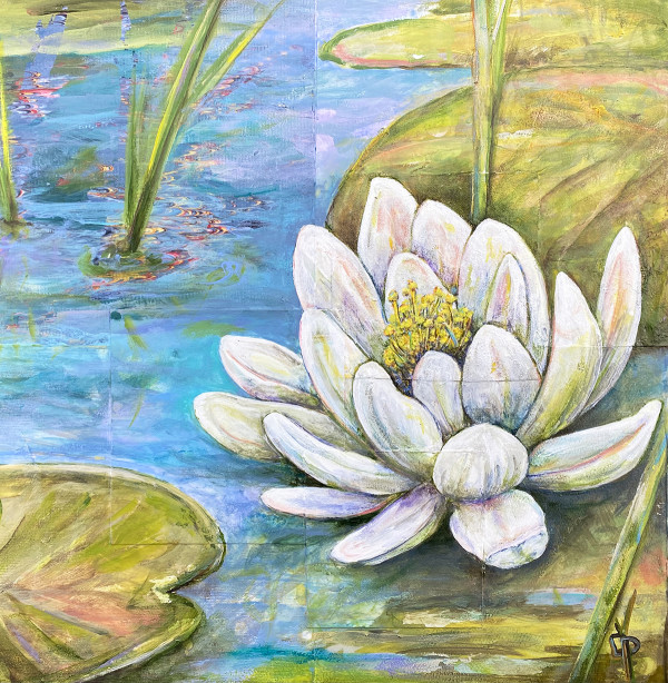 Boston Pond Lily by Delphine Peller 