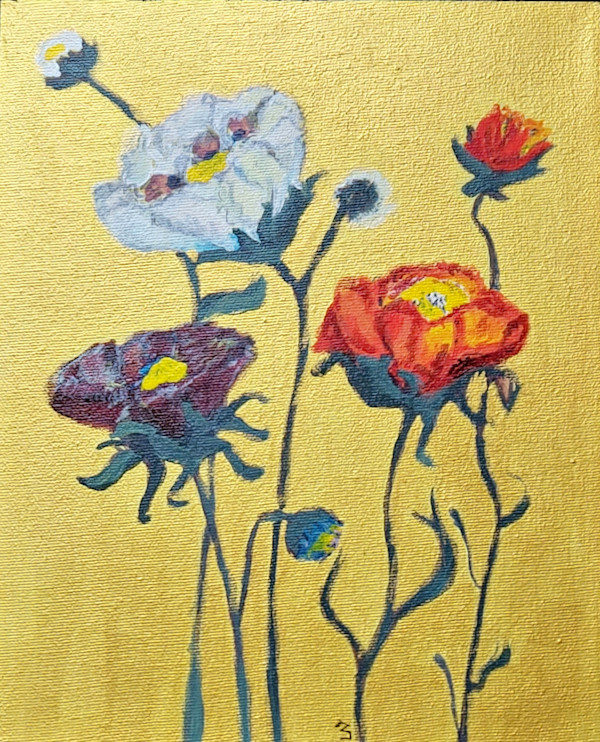 Coqueliquots de la paix / Peace Poppies by Helene Montpetit