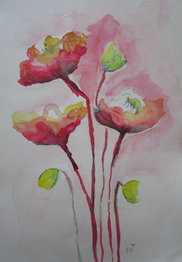 Poppies by Helene Montpetit