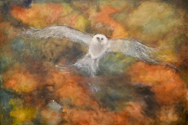 Soaring White Owl by Shirley Parish