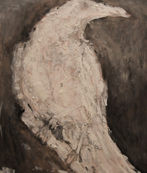 Albino Raven by Shirley Parish