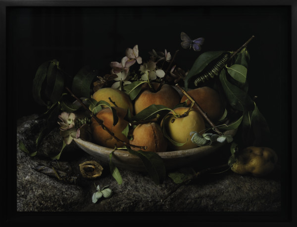 Peaches and Hydrangeas, After G.G. #1 by Paulette Tavormina