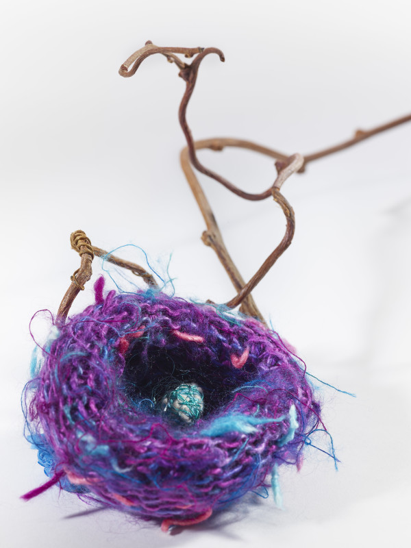 Nesting IV by Evelyn Politzer