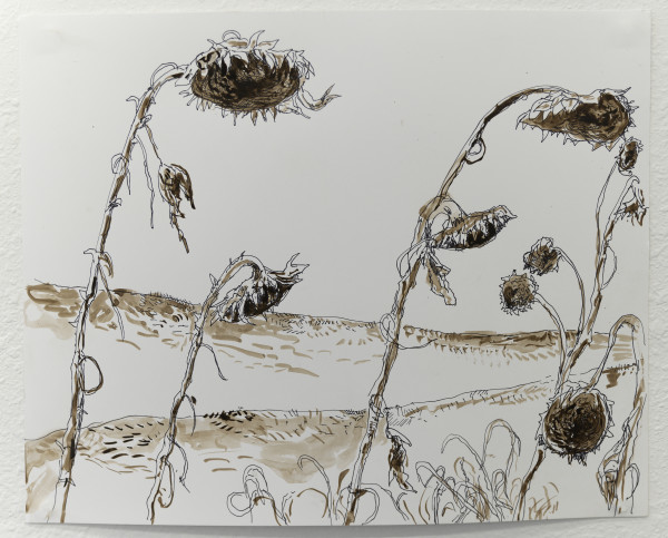 Study for Decembers Sunflowers by Gary Mayer