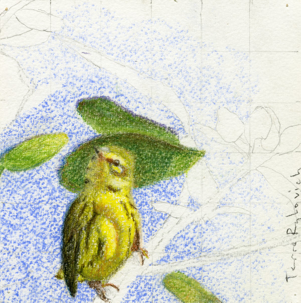 Young Prairie Warbler 1 by Terre Rybovich