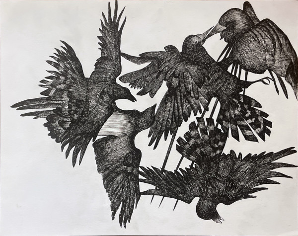 Flock by Lisa Stefanelli