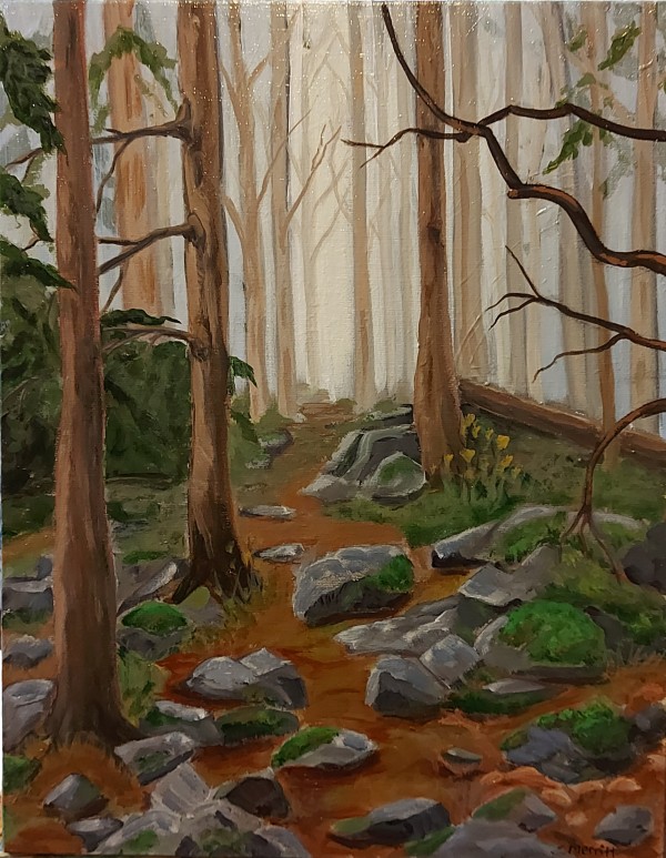 Misty Forest by Susan Merritt