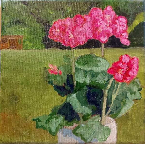 Backyard Geraniums by Susan Merritt