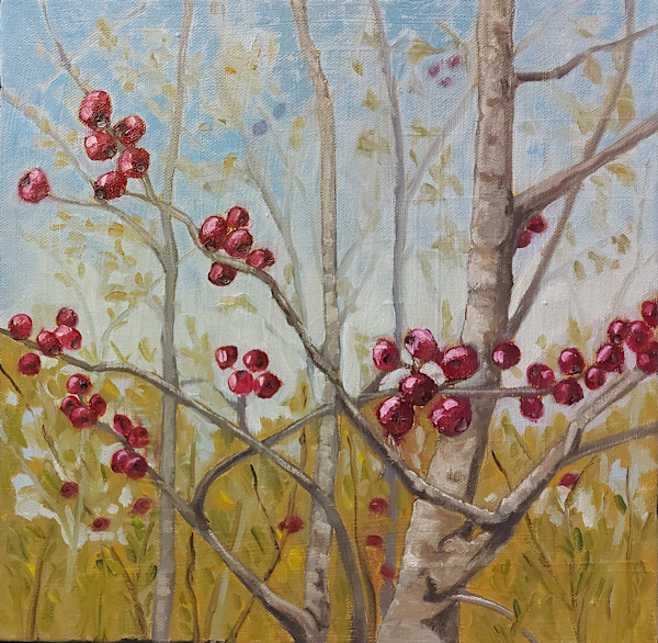 Fall Hawthorn by Susan Merritt