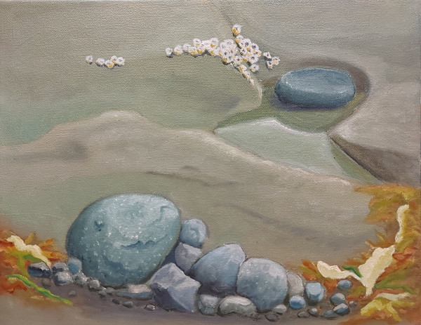 Hornby Island Rocks 2 by Susan Merritt