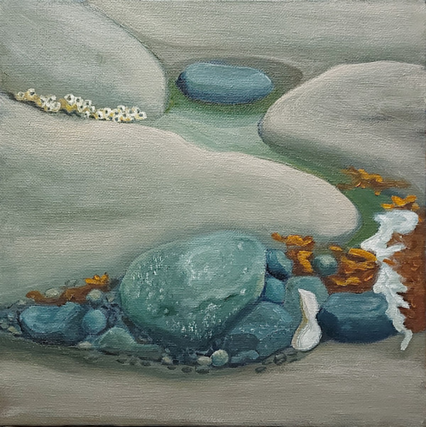 Hornby Island Rock Group by Susan Merritt