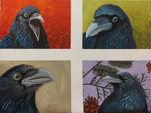Raven Study by Susan Merritt