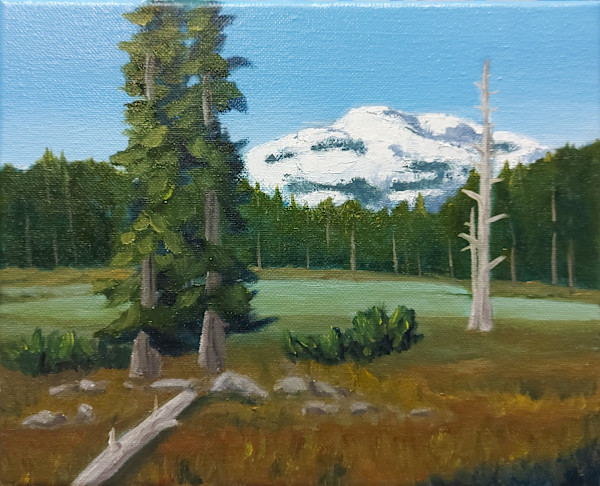 Paradise Meadows by Susan Merritt