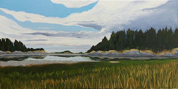 After the Storm by Susan Merritt