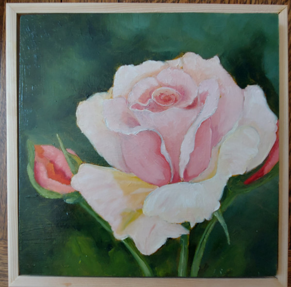 Rose Blush by Susan Merritt