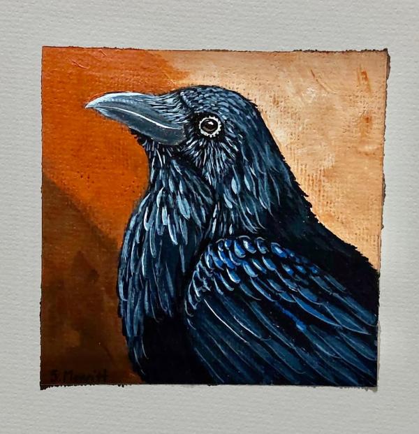 Raven Wise by Susan Merritt