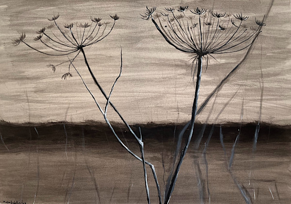 Dry field by Maya Leites, Image 1.
