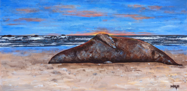Dead Seal at the End of the Day by Maya Leites