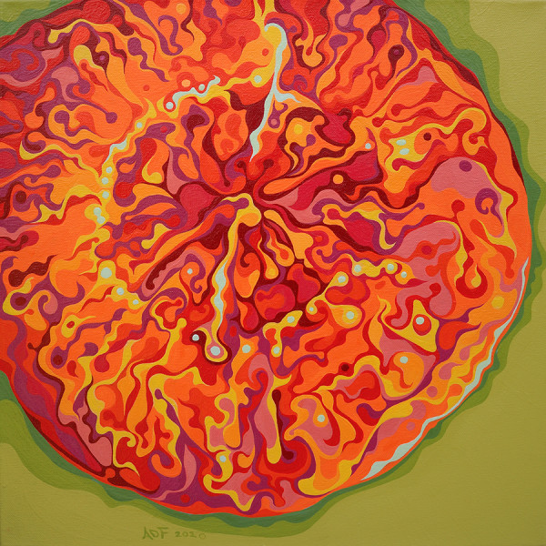 Call of the Kaleidoscopic Carrot Medallion by Amy Ferrari