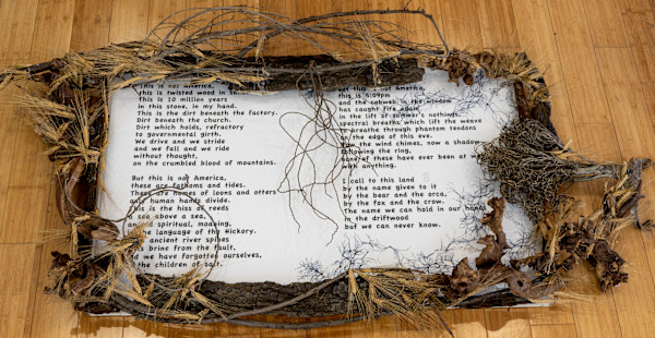 This is Not America by Pam Douglas