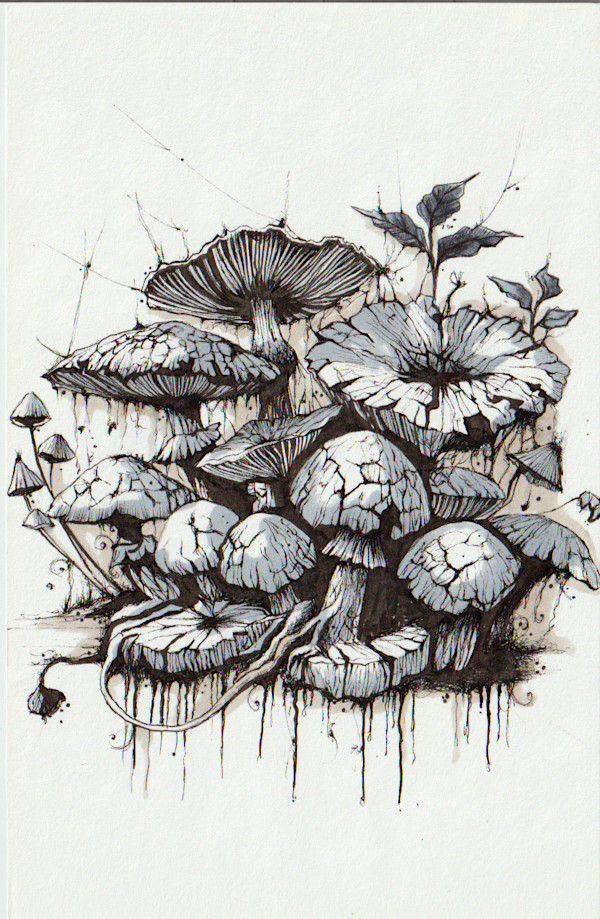 Grungy by Somaya Etemad