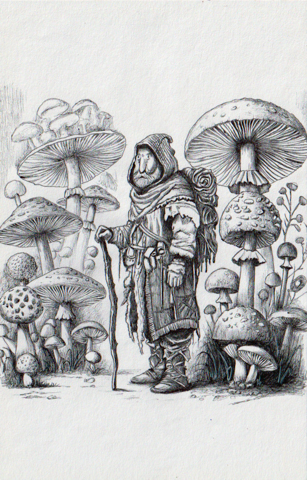 Nomadic by Somaya Etemad