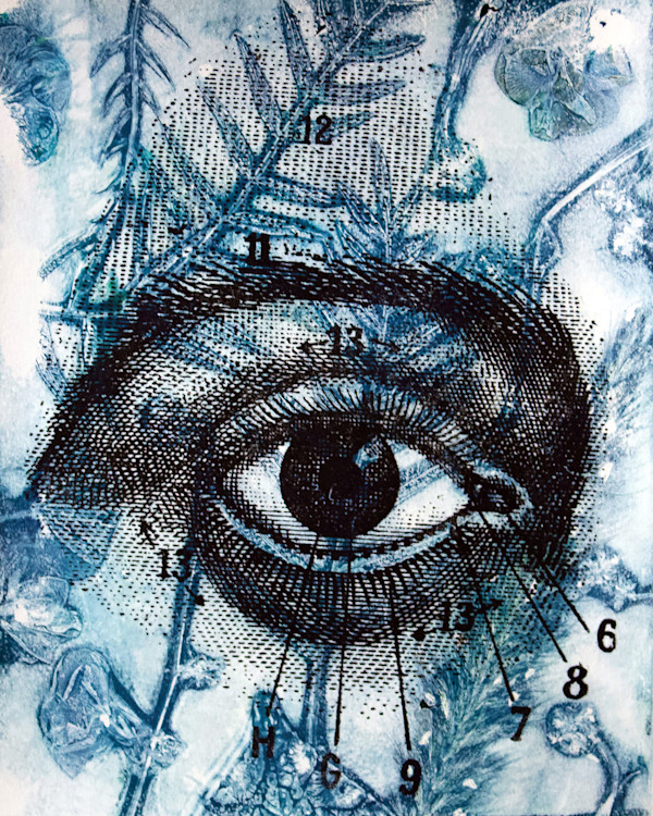 Seeing by Karen Fiorito