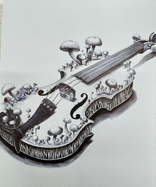 Violin by Somaya Etemad