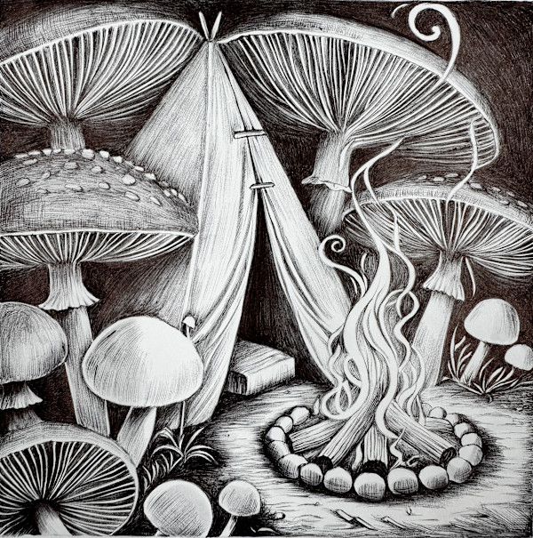 Camp by Somaya Etemad
