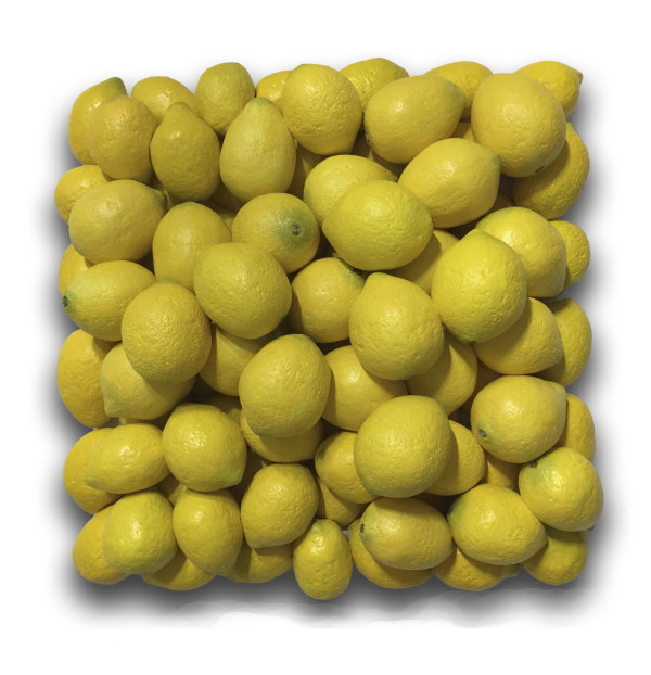 "a bunch of lemons" by Gary Polonsky