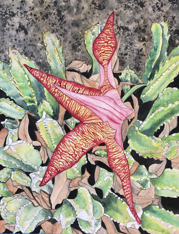 Dancing Star, Nancy Fint by California Art League
