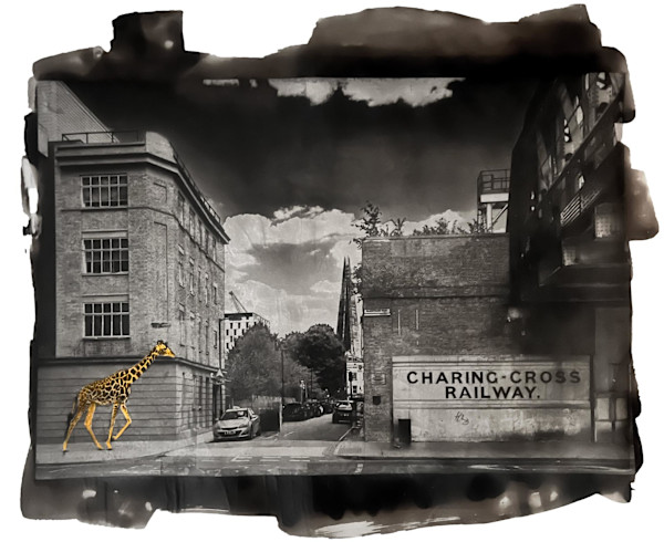 Giraffe at Charing Cross, Paal Anand by California Art League