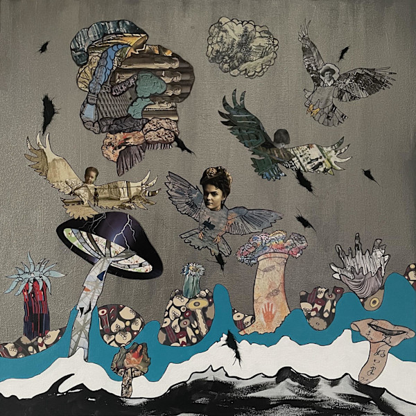 A Bit of Chaos by Nancy Goodman Lawrence