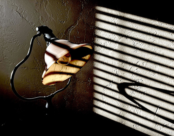 Morning Becomes Light by Karen Safer
