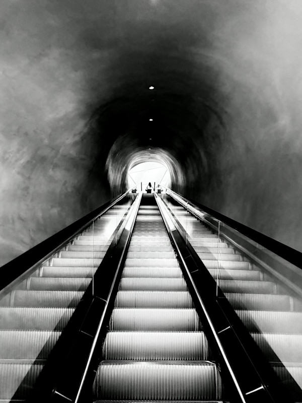 Stairway to by Stephen Anderson, Image 1.