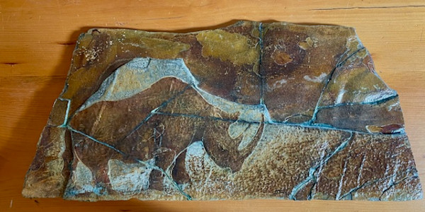 African Odyssey No. 2:  Diceros bicornis by Don Paglia