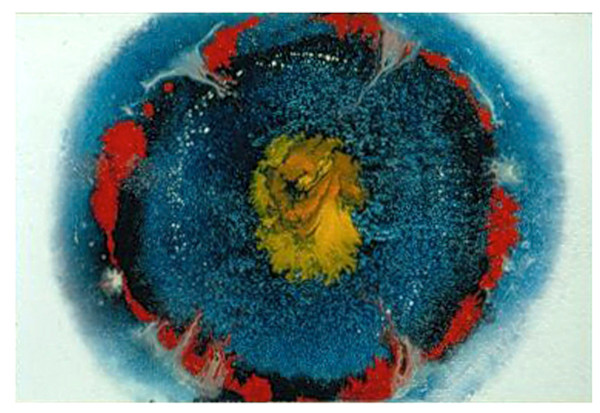 Abstract Eye by Gary Polonsky