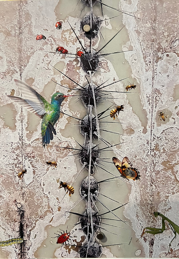 Agave & Hummer by Wendy Tigerman