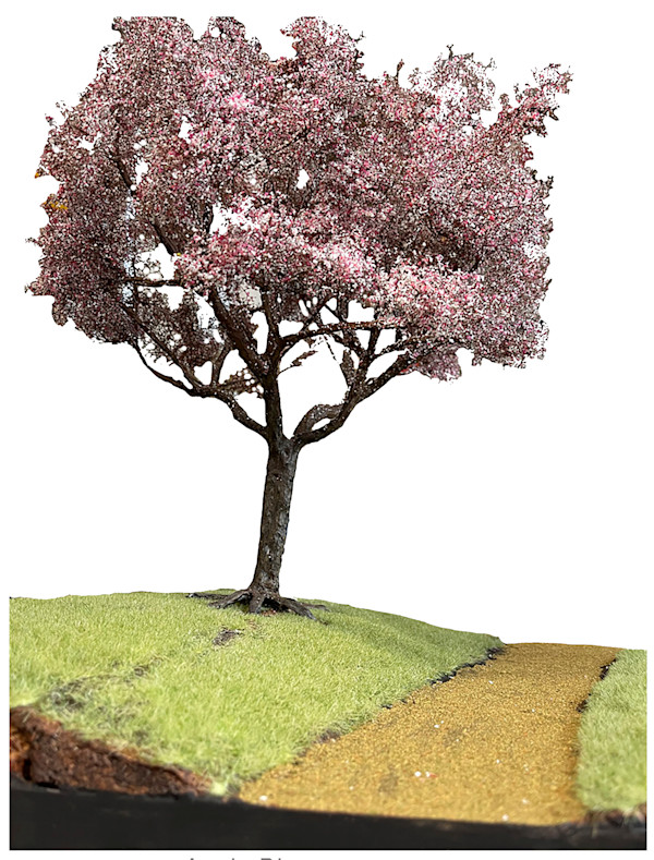 Apple Blossom tree by Gary Polonsky