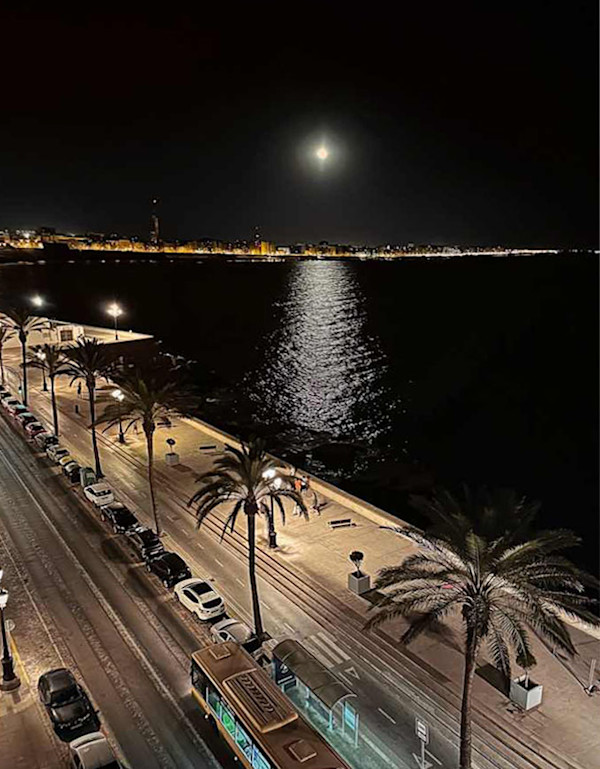 August Super Moon 2023 by Lee Cooper