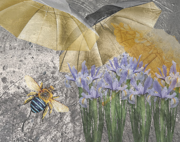 Aussie Spring by Wendy Tigerman